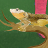 Custom by #12942: Now your dog has it's very own pet bearded dragon! Art by: #24816